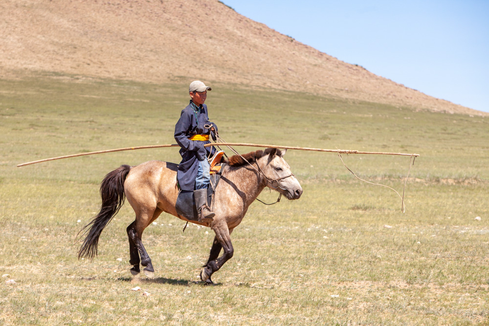 About Mongolia